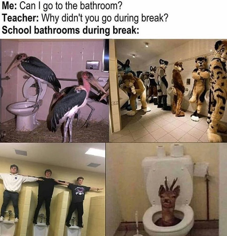 dank memes - bathrooms during break meme - Me Can I go to the bathroom? Teacher Why didn't you go during break? School bathrooms during break Jan
