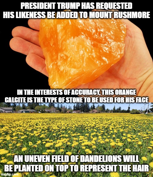 orange - President Trump Has Requested His ness Be Added To Mount Rushmore In The Interests Of Accuracy, This Orange Calcite Is The Type Of Stone To Be Used For His Face An Uneven Field Of Dandelions Will Be Planted On Top To Represent The Hair imgflip.co