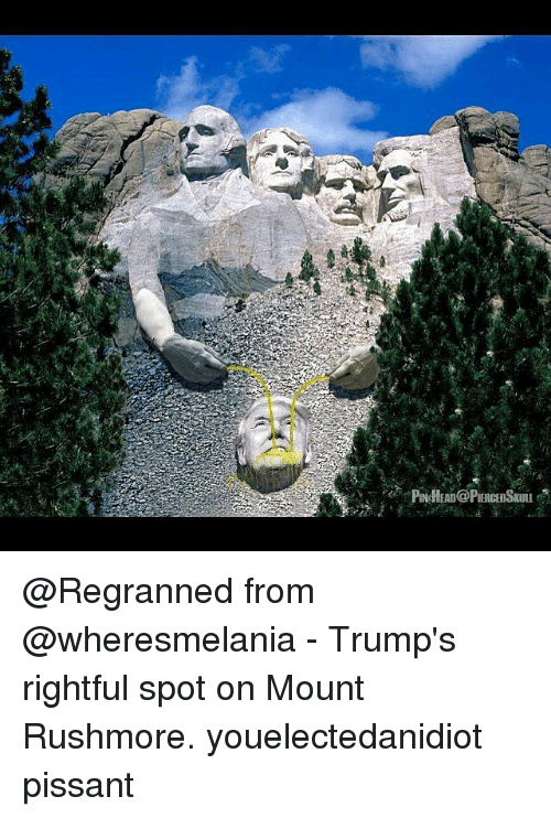 mount rushmore - Pheadpierced Skull from Trump's rightful spot on Mount Rushmore. youelectedanidiot pissant