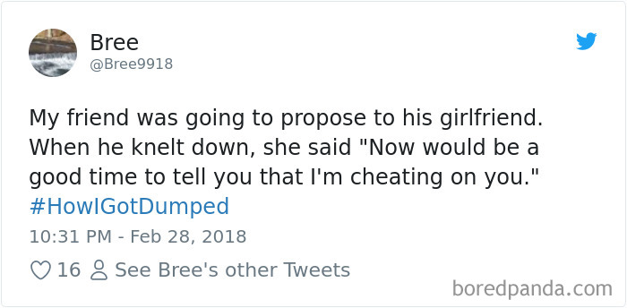 elon musk i am a socialist - Bree My friend was going to propose to his girlfriend. When he knelt down, she said "Now would be a good time to tell you that I'm cheating on you." 16 8 See Bree's other Tweets boredpanda.com