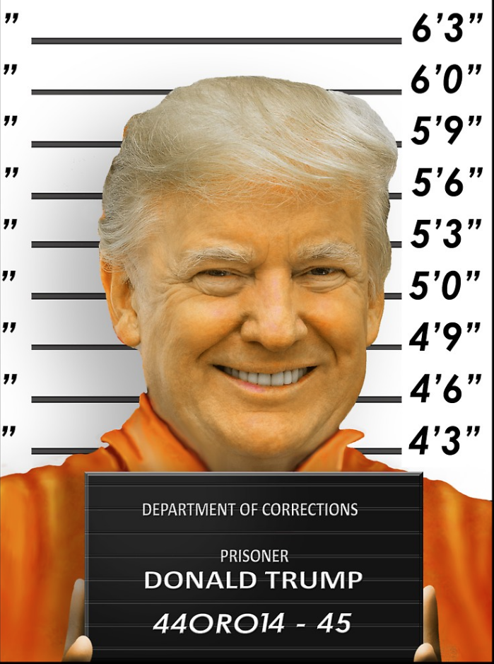 Trump mugshot