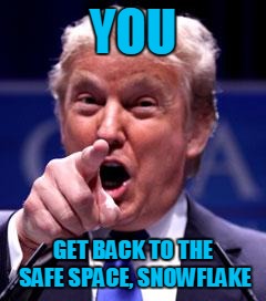 donald trump - You. Get Back To The Safe Space, Snowflake