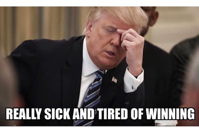 trump reelection meme - Really Sick And Tired Of Winning