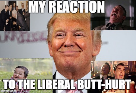 nice donald trump - Ml My Reaction To The Liberal ButtHurt