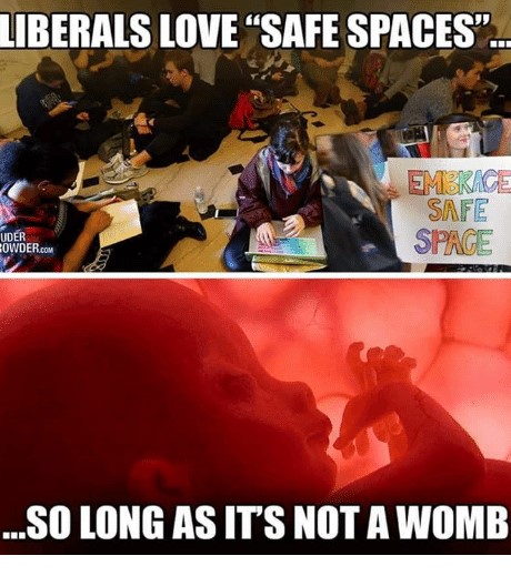 liberals womb - Liberals Love Safe Spaces"... Emerace Safe Spage Uder Bowder.Com ...So Long As It'S Not A Womb