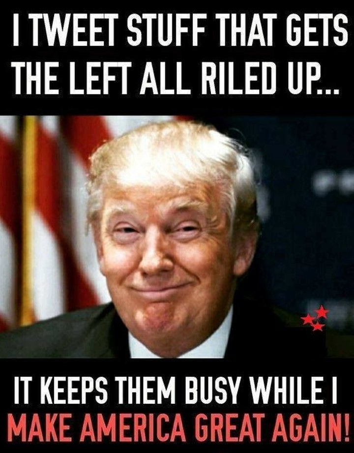 trump best president meme - I Tweet Stuff That Gets The Left All Riled Up... It Keeps Them Busy Whilet Make America Great Again!