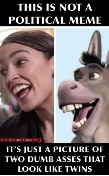 aoc and donkey from shrek - This Is Not A Political Meme Thisis. Nota Liberals Are Lunatics It'S Just A Picture Of Two Dumb Asses That Look Twins