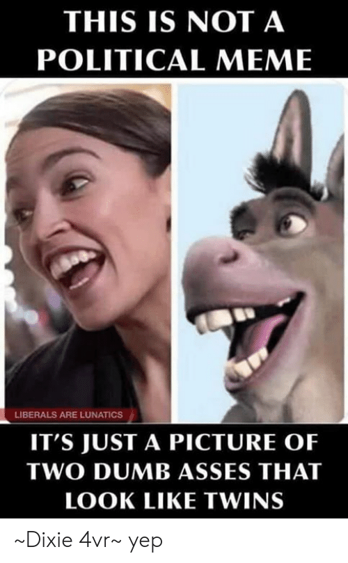 liberals meme - This Is Not A Political Meme Liberals Are Lunatics It'S Just A Picture Of Two Dumb Asses That Look Twins ~Dixie 4vr~ yep