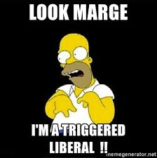 im a welder meme - Look Marge I'M A Triggered Liberal !! inemegenerator.net