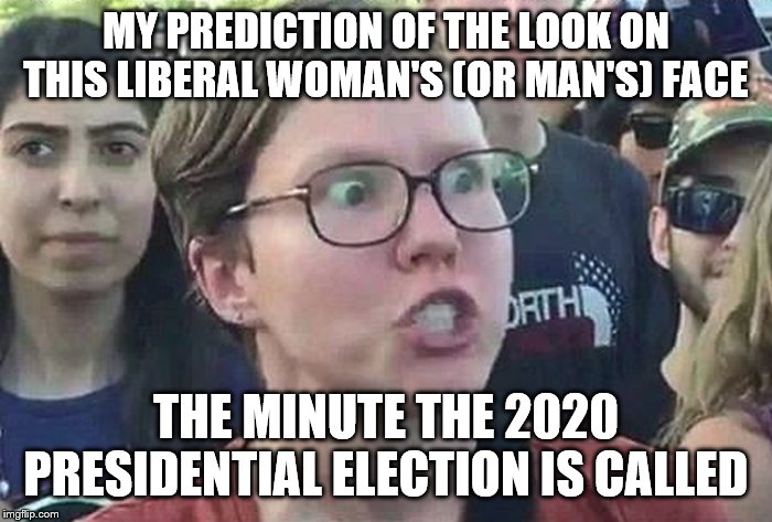 triggered liberal meme - My Prediction Of The Look On This Liberal Woman'S Or Man'S Face Dathie The Minute The 2020 Presidential Election Is Called imgflip.com