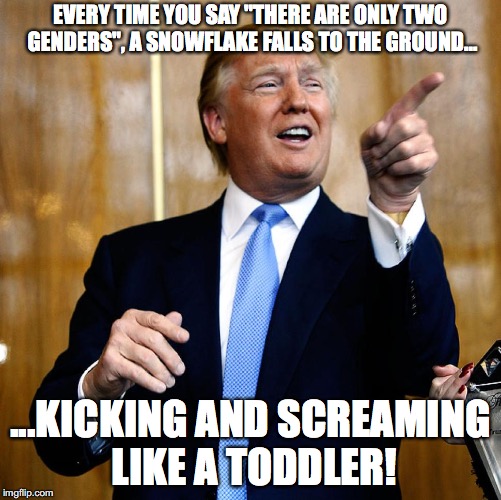 donald trump - Every Time You Say There Are Only Two Genders, A Snowflake Falls To The Ground... ...Kicking And Screaming A Toddler! imgflip.com