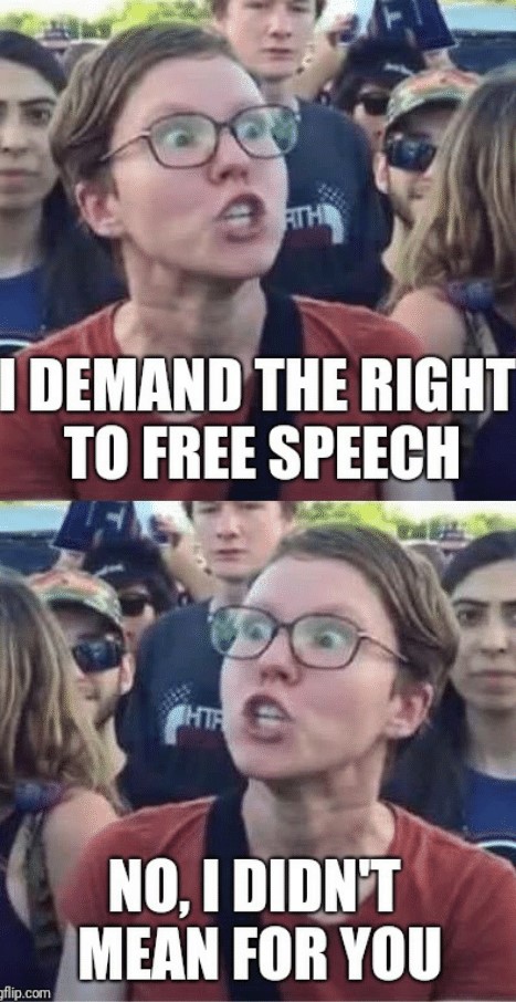 angry liberal meme - Rii I Demand The Right To Free Speech No, I Didn'T Mean For You gflip.com