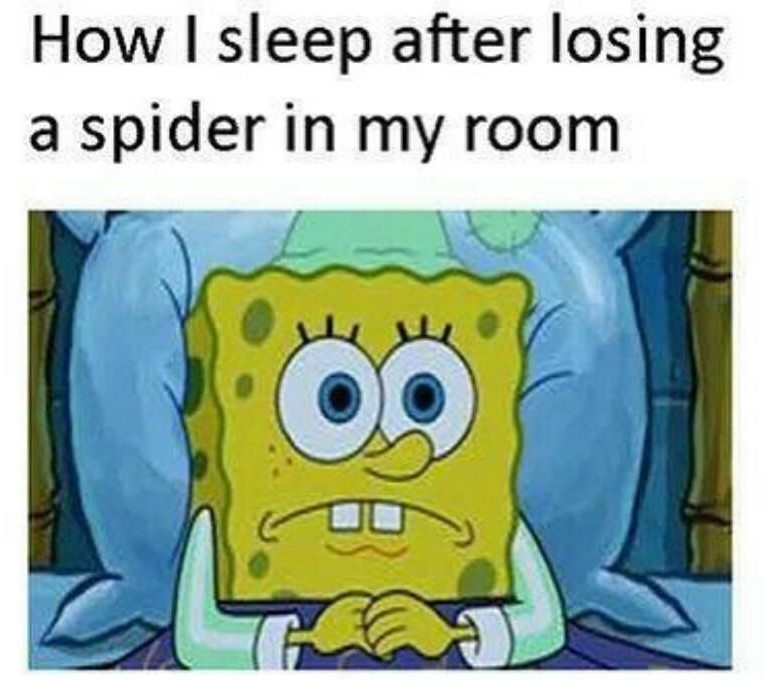 Super SpongeBob Memes! - Gallery | eBaum's World