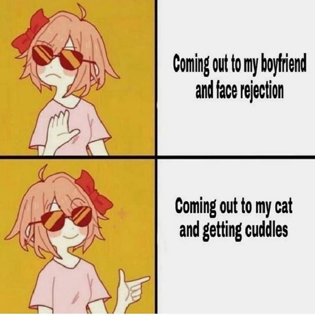 astolfo yes meme - Coming out to my boyfriend and face rejection Coming out to my cat and getting cuddles