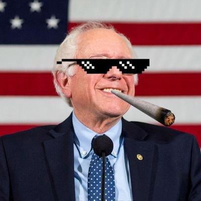 bernie sanders for president