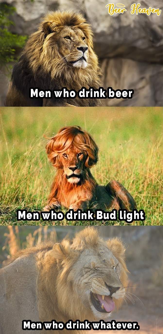 lion king - Bear Heaper Men who drink beer Men who drink Bud Light Men who drink whatever.