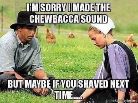 amish culture - I'M Sorry I Made The Chewbacca Sound But Maybe If You Shaved Next Time. Wate make mere.org