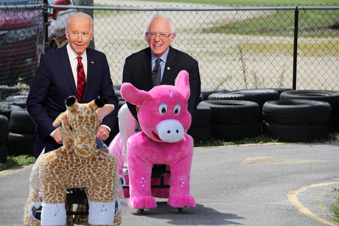Actual photo of Joe & Bernie during their play date on May 16th