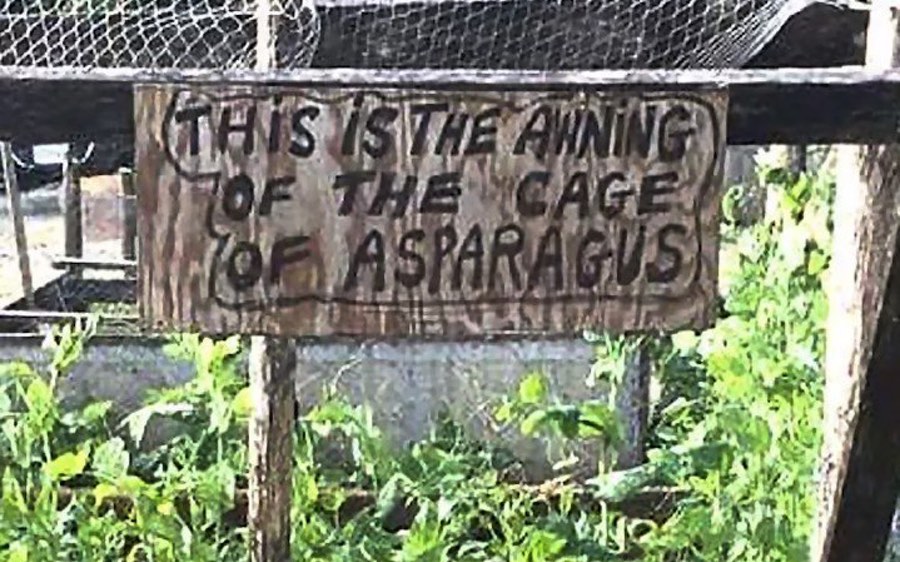 awning of the cage of asparagus - This Is The Awning Of The Cage Of Asparagus Din Oteller