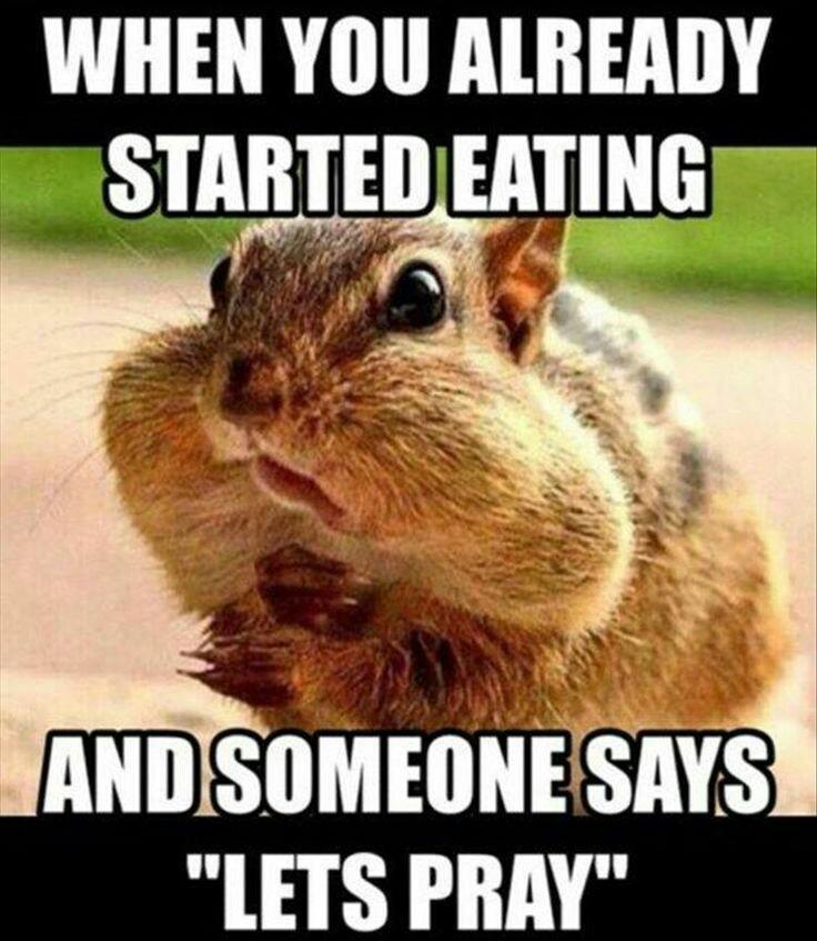 funny squirrel memes - When You Already Started Eating And Someone Says "Lets Pray"