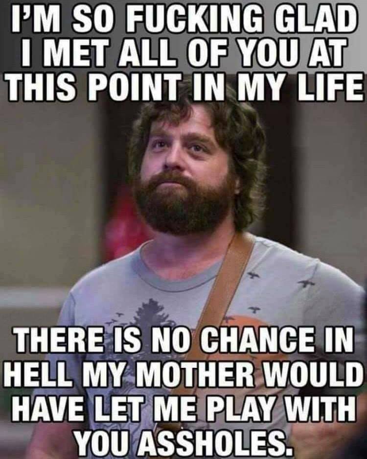 zach galifianakis hangover - I'M So Fucking Glad I Met All Of You At This Point In My Life There Is No Chance In Hell My Mother Would Have Let Me Play With You Assholes.
