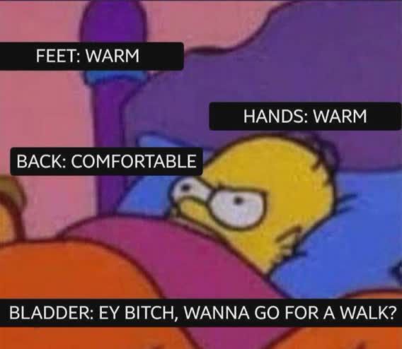 homer simpson meme bed - Feet Warm Hands Warm Back Comfortable Bladder Ey Bitch, Wanna Go For A Walk?