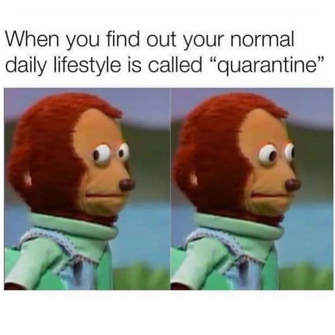quarantine memes - When you find out your normal daily lifestyle is called "quarantine"