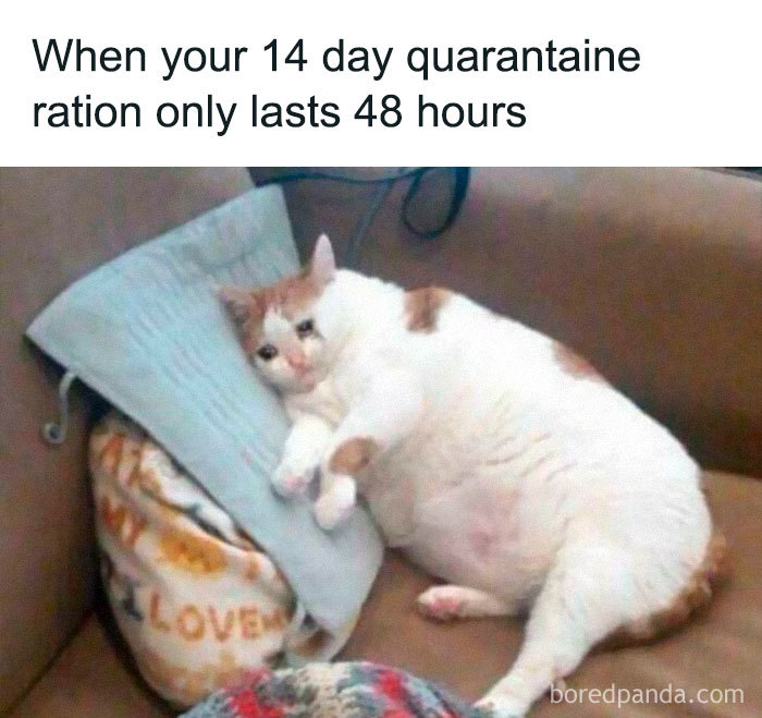 coronavirus funny memes - When your 14 day quarantaine ration only lasts 48 hours Love boredpanda.com
