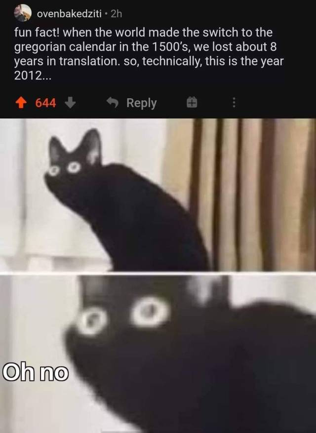 oh no black cat meme - ovenbakedziti 2h fun fact! when the world made the switch to the gregorian calendar in the 1500's, we lost about 8 years in translation. so, technically, this is the year 2012... 644 o Oh no