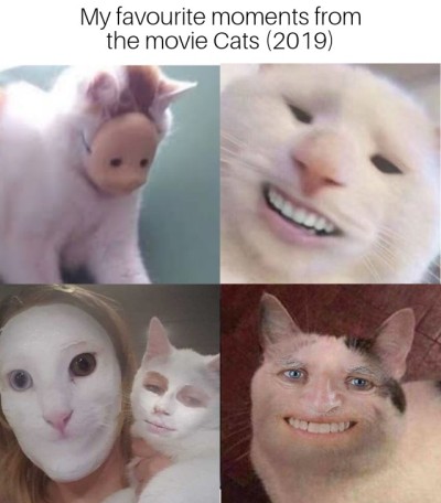 fauna - My favourite moments from the movie Cats 2019
