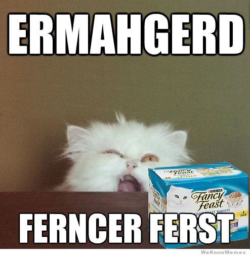 ferncer ferst - Ermahgerd Kata Are Fancy Feast Suvablety Cach Ferncer Ferst We Know Memes