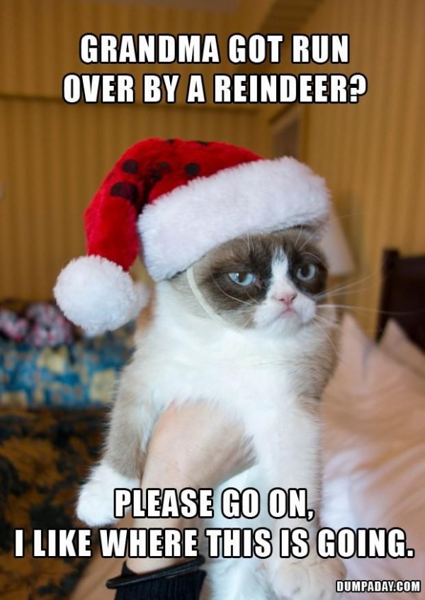 merry christmas grumpy cat - Grandma Got Run Over By A Reindeer? Please Go On, I Where This Is Going. Dumpaday.Com