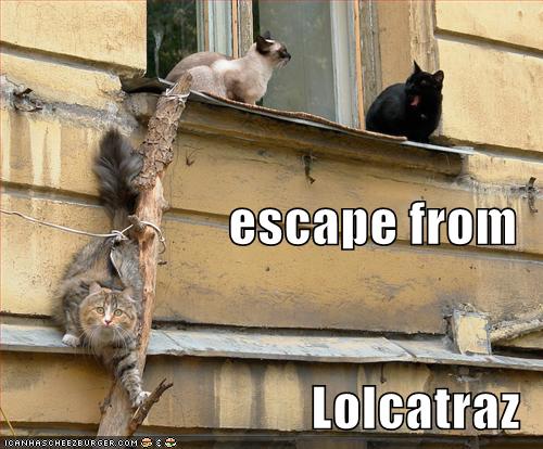 Lolcats