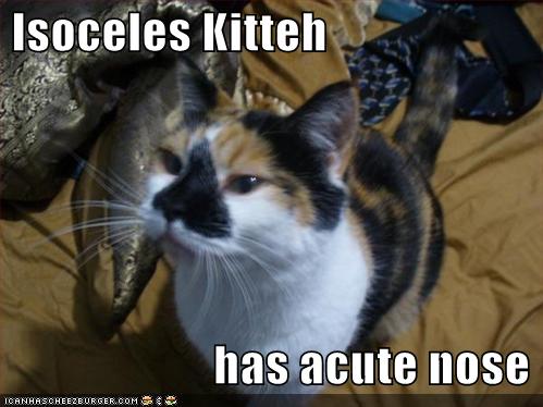 Lolcats