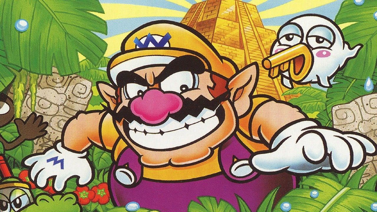 Insane Facts About Wario - He Is a Star Child
