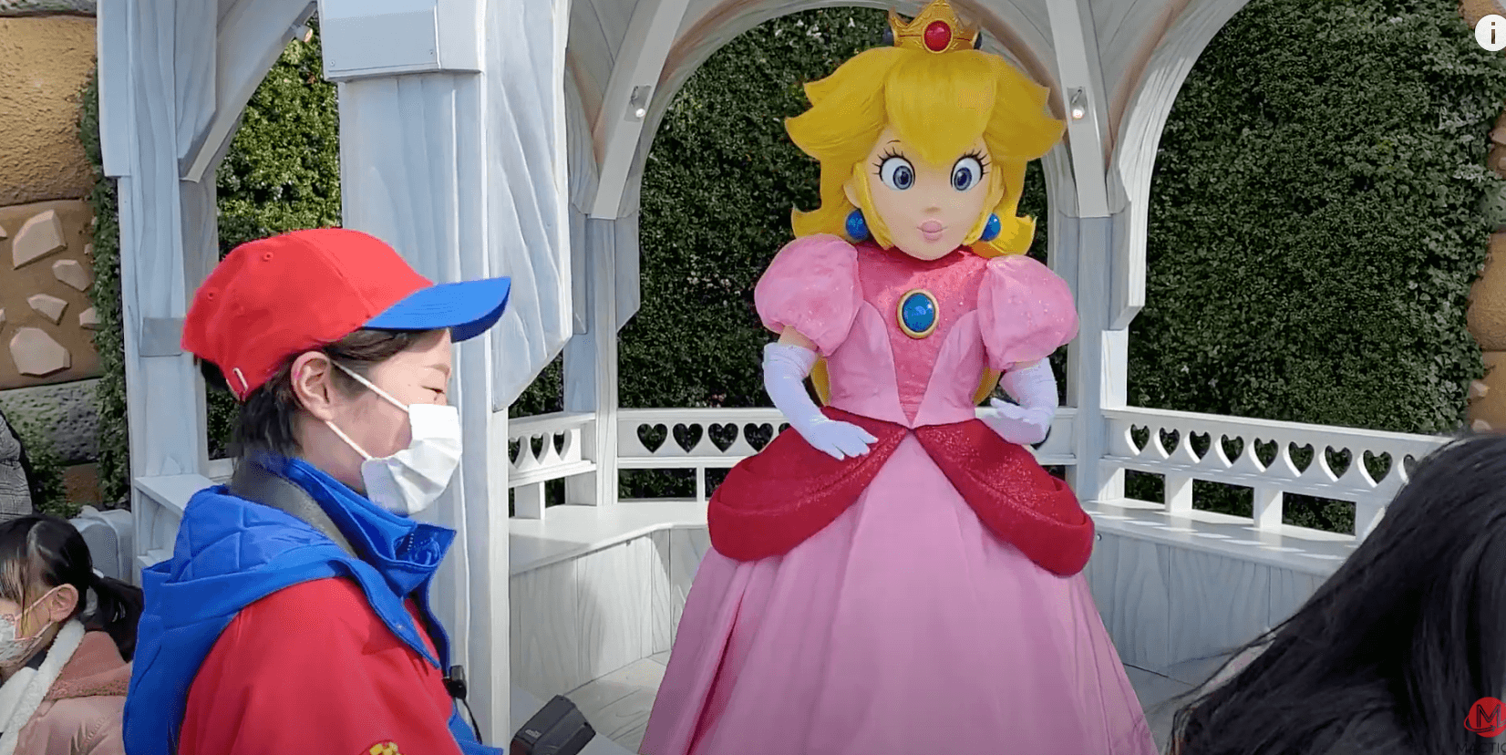 Princess Peach Facts  - Different Names in Different Places