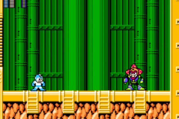 Mega Man Bosses Dirty Names - Plant Man