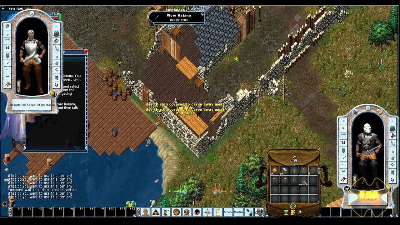 Multiplayer games with great communities  - Ultima Online