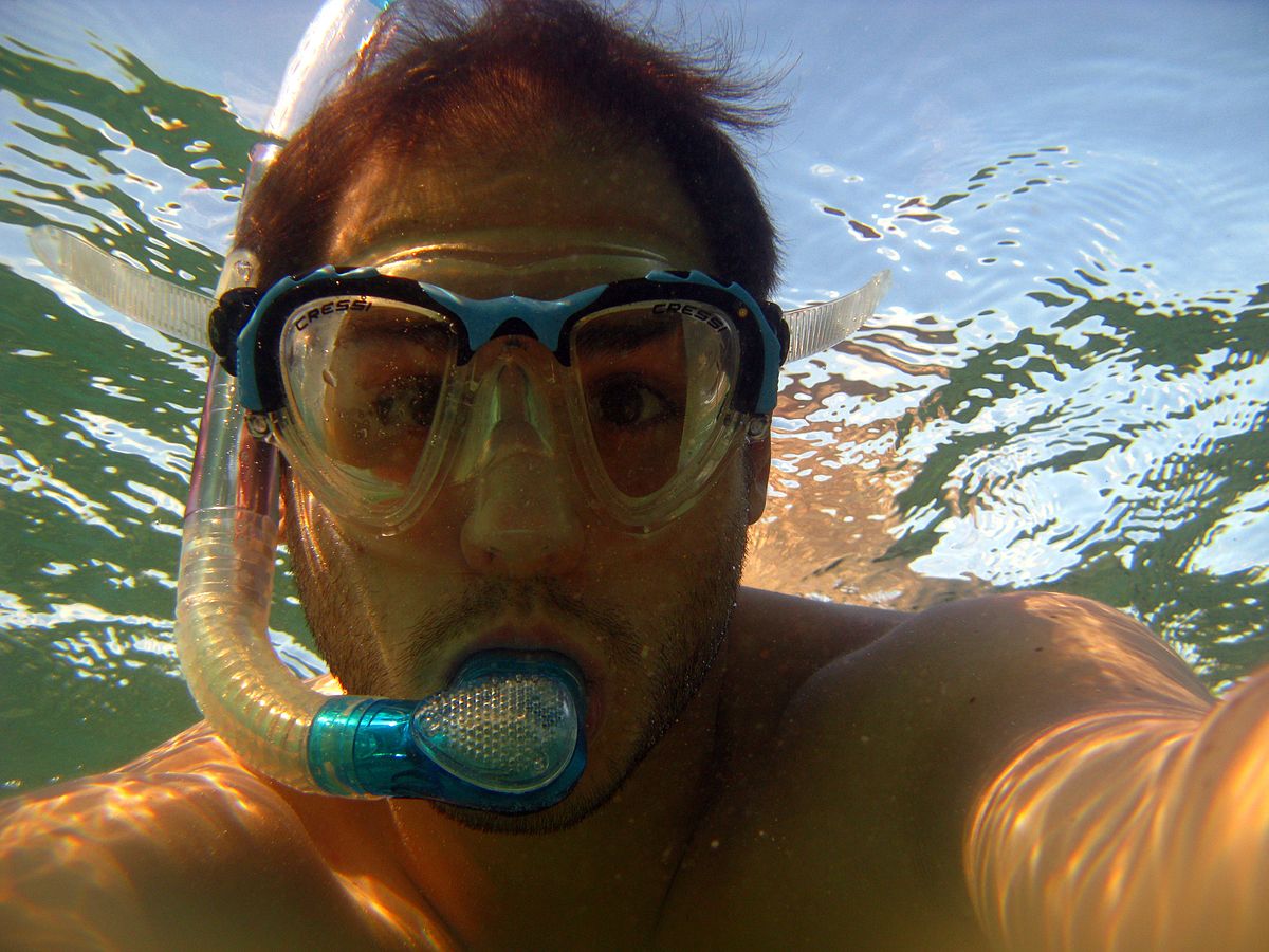 dumb ways people almost died - snorkel definition - Cress Cres