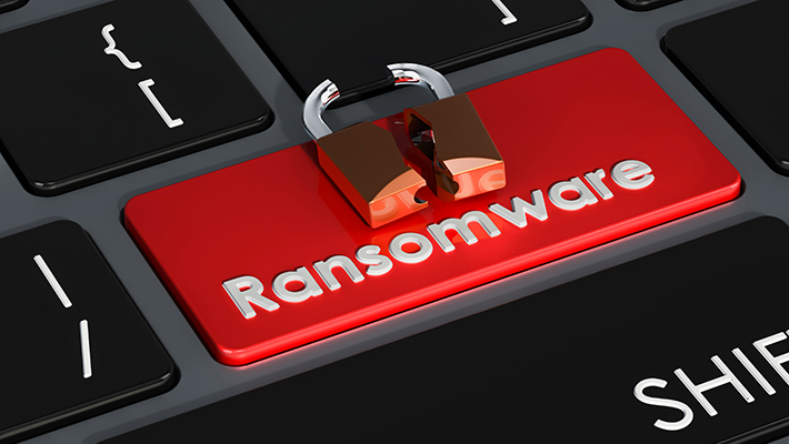 ransomware virus - { Ransomware Shie