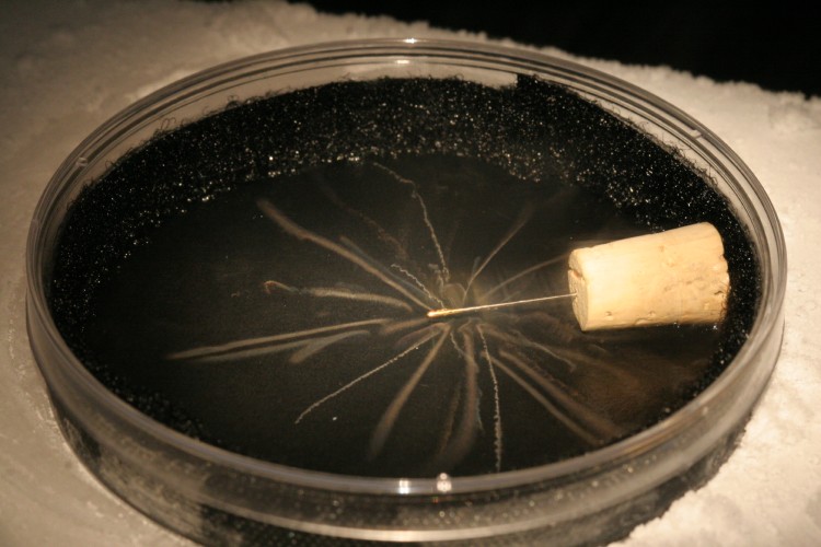 crazy things developed in labs - particle cloud chamber