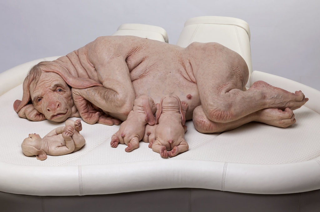 crazy things developed in labs - patricia piccinini