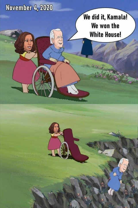 Controversial Halloween Costumes - sex education wheelchair meme - We did it, Kamala! We won the White House! 2