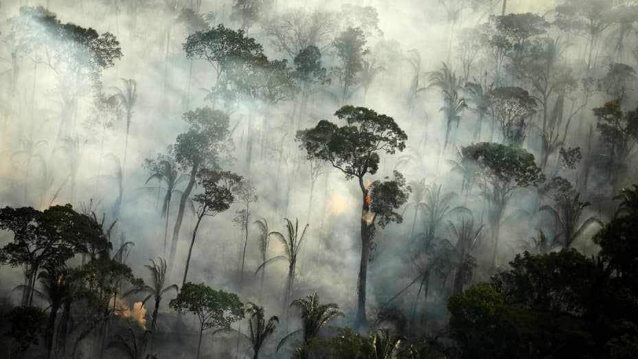 things that will be gone in 30 years - amazon deforestation