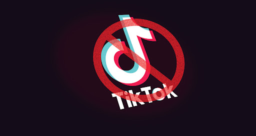 things that will be gone in 30 years - tik tok ban