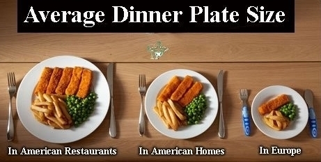 American Things - eat smaller portion - Average Dinner Plate Size In American Restaurants In American Homes In Europe