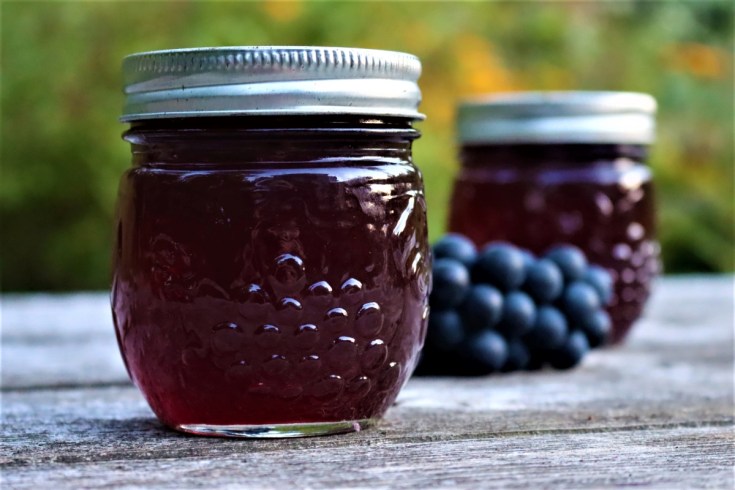grape jelly canning