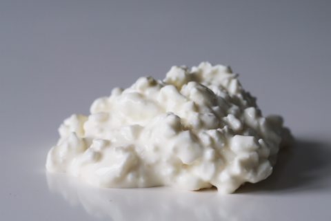 divisive foods - Cottage cheese