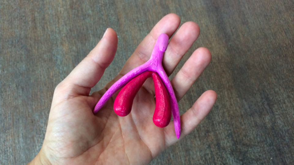 poorly designed body parts - clitoris outside the vagina