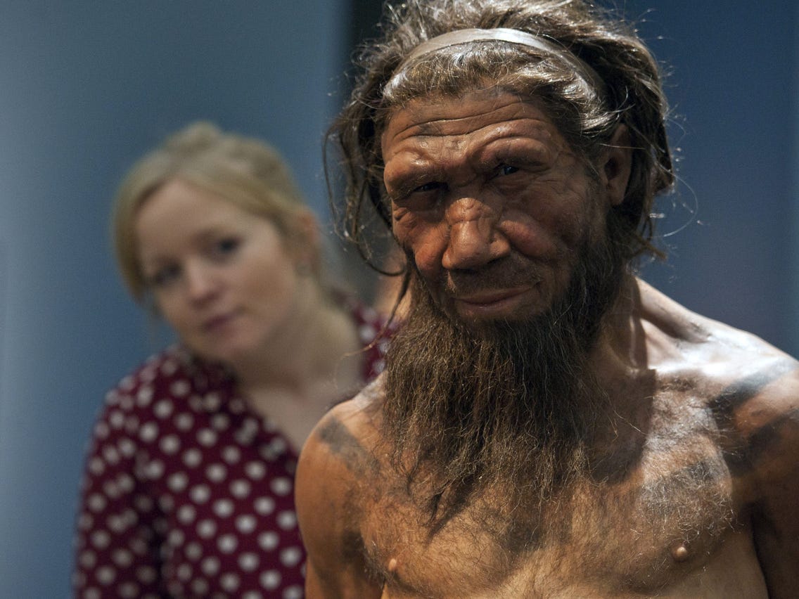 impossible to fathom facts - did neanderthals look - 12